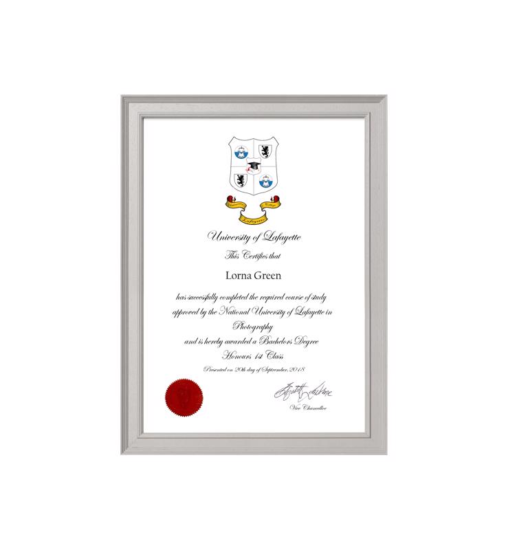 Decorative Grey Certificate Frame - 1