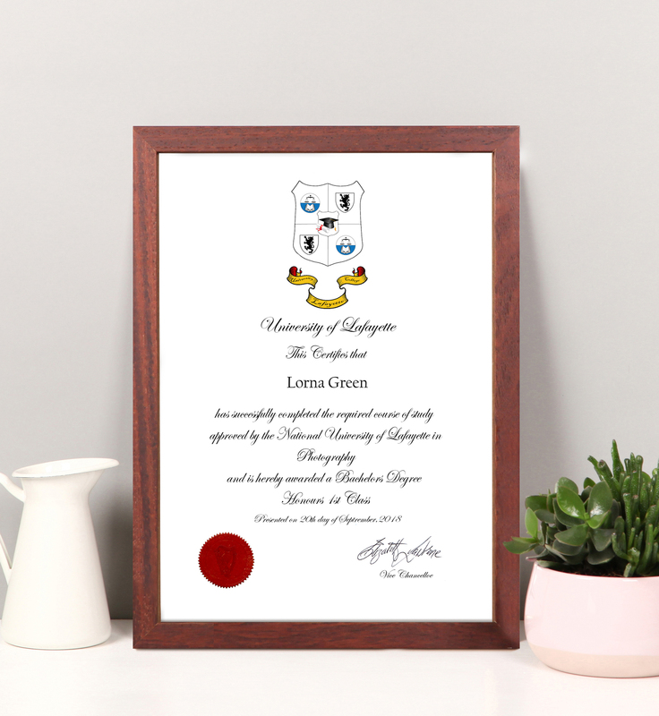 Contemporary Brown Certificate Frame - 2