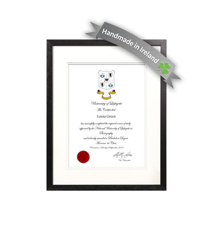 Contemporary Black Certificate Frame with Mount - 1